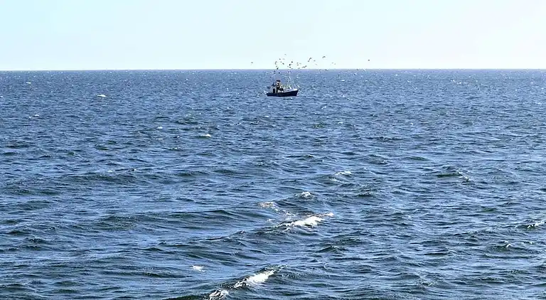 Ferienhaus in Kappeln