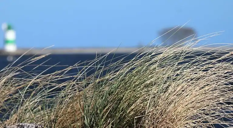 Ferienhaus in Kappeln