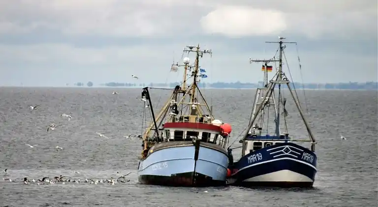 Ferienhaus in Kappeln