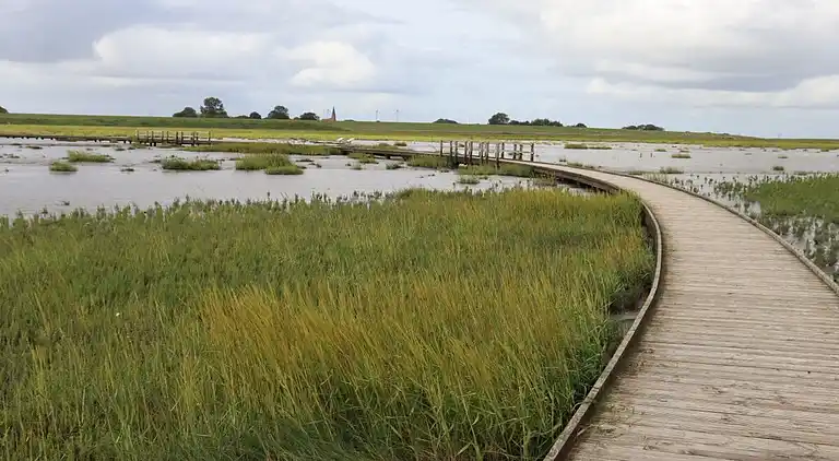 Holiday home in Fedderwardersiel