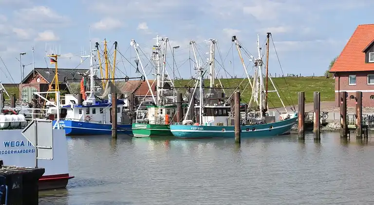 Holiday home in Fedderwardersiel