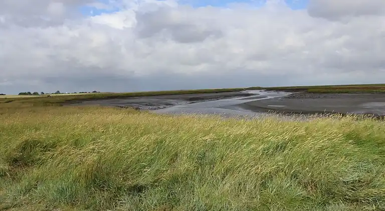 Holiday home in Fedderwardersiel
