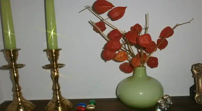 Holiday home in Walsheim