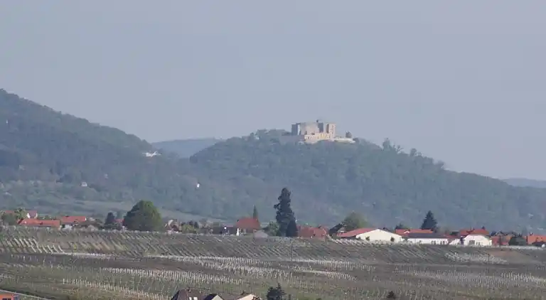 Holiday home in Walsheim