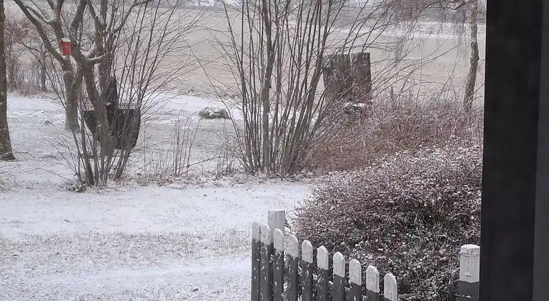 Hyggeligt sommerhus i rolige omgivelser.