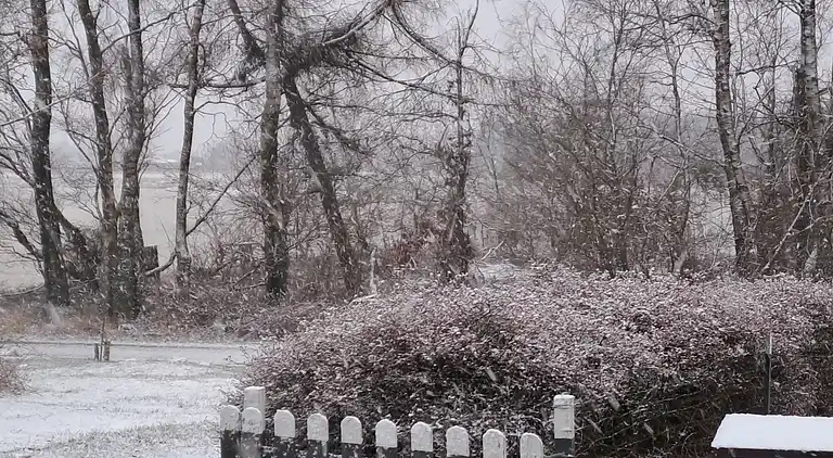 Hyggeligt sommerhus i rolige omgivelser.