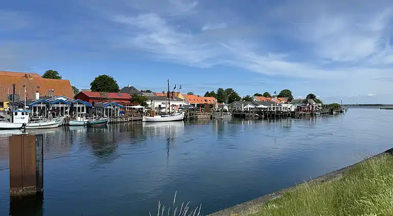 Skønt sommerhus med plads til 8 pers. og 2 hunde