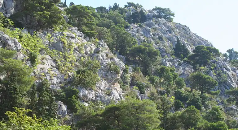 Studio flat near beach Omiš (AS-771-a)