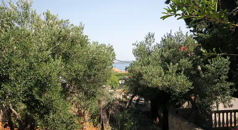 2-Zimmer-Ferienwohnung mit Terrasse und Meerblick Sali, Dugi