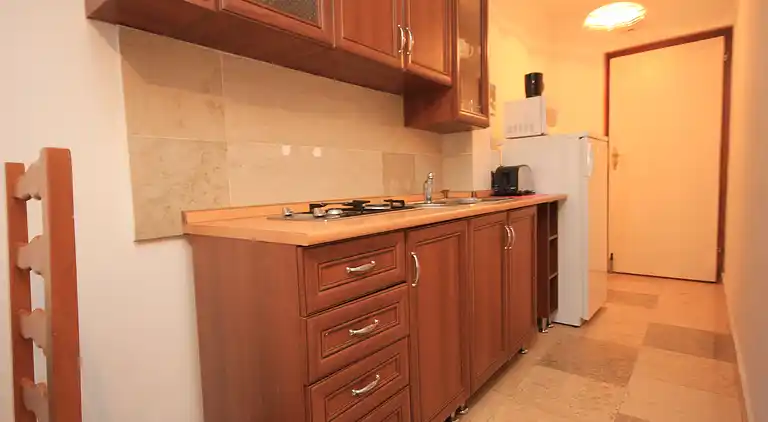 One bedroom apartment with terrace Rovinj (A-3394-b)