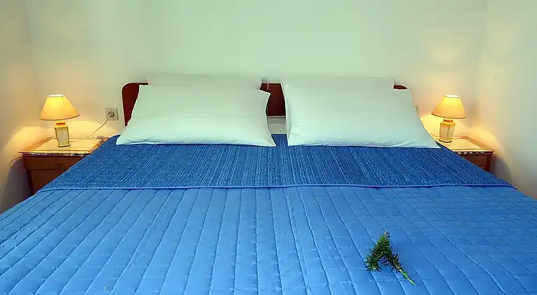 1-Zimmer-Ferienwohnung am Strand Okuklje, Mljet (A-4912-d)