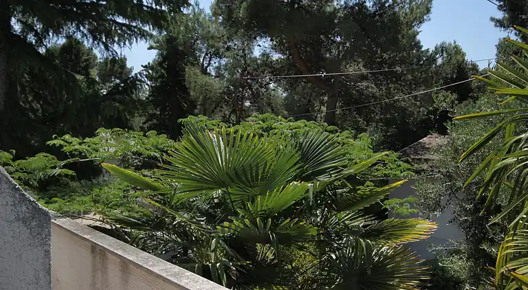 2-Zimmer-Ferienwohnung mit Terrasse Artatore, Losinj