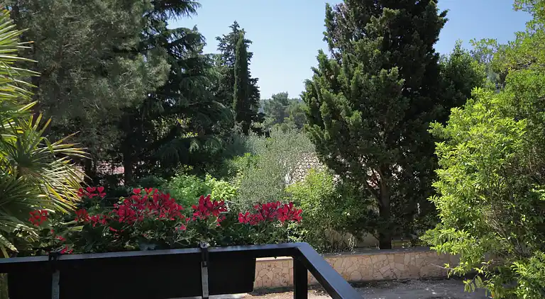 2-Zimmer-Ferienwohnung mit Terrasse Artatore, Losinj