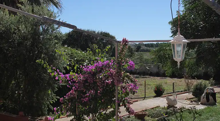 3-Zimmer-Ferienwohnung mit Balkon Privlaka, Zadar (A-5747-a)