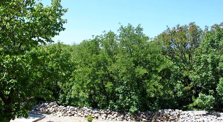 One bedroom apartment with terrace Rovanjska, Paklenica