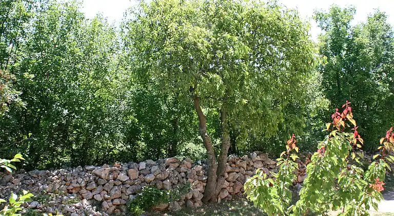 One bedroom apartment with terrace Rovanjska, Paklenica