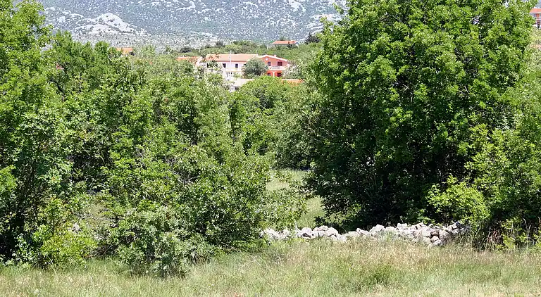 One bedroom apartment with terrace Rovanjska, Paklenica