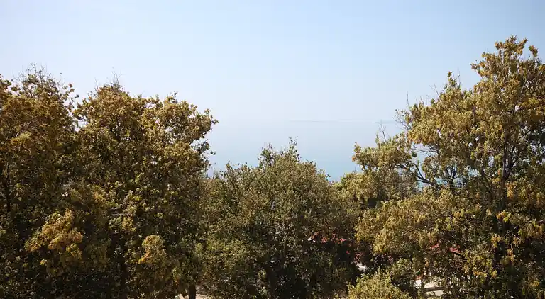 Two bedroom apartment near beach Cove Mulobedanj, Pag