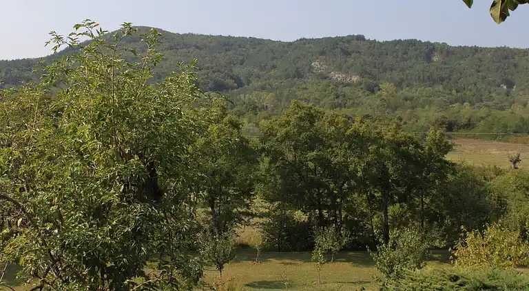 Two bedroom house with terrace Rim, Central Istria -