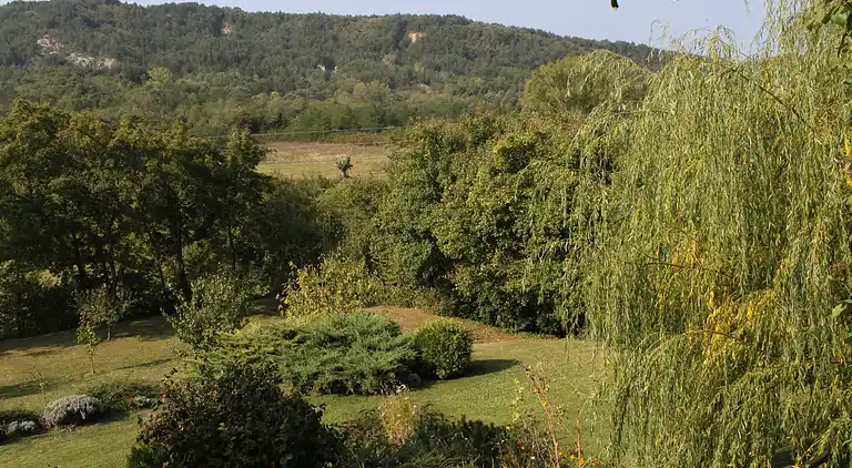 Two bedroom house with terrace Rim, Central Istria -