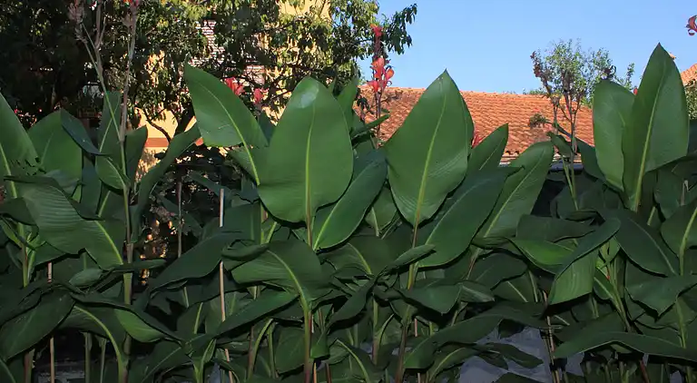 1-Zimmer-Ferienwohnung mit Terrasse Umag (A-7171-d)