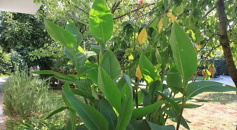 2-Zimmer-Ferienwohnung mit Terrasse Umag (A-7171-c)