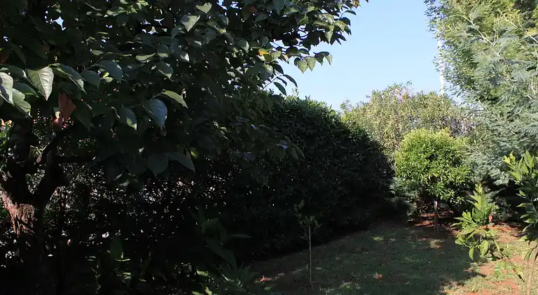 2-Zimmer-Ferienwohnung mit Terrasse Umag (A-7171-b)