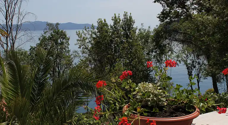 1-Zimmer-Ferienwohnung am Strand Medveja, Opatija (A-7722-b)