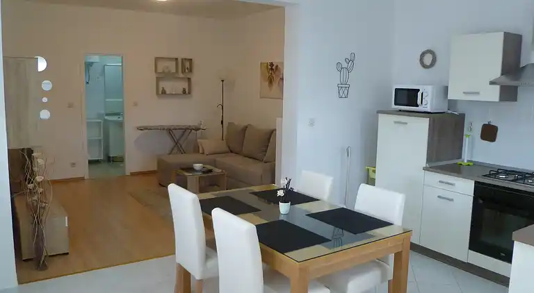 One bedroom apartment with terrace and sea view Sali, Dugi