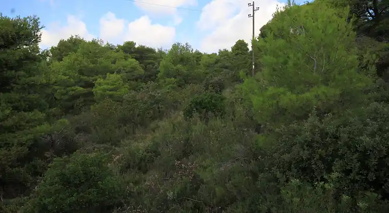 Two bedroom apartment with terrace and sea view Rukavac, Vis