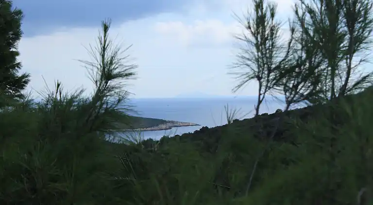 Two bedroom apartment with terrace and sea view Rukavac, Vis