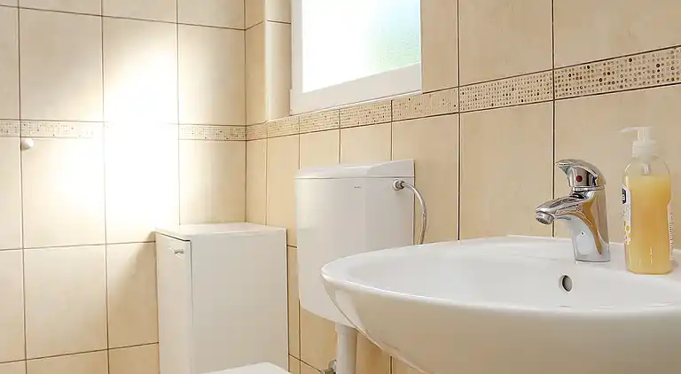 Two bedroom apartment near beach Drače, Pelješac (A-10130-a)