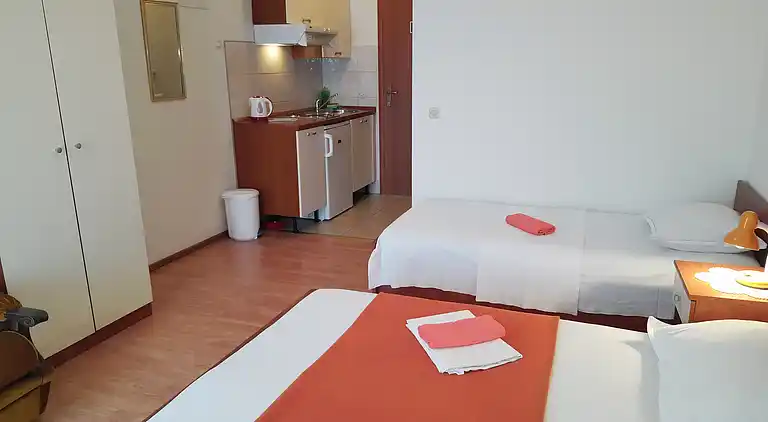 Studio flat with terrace and sea view Gradac, Makarska