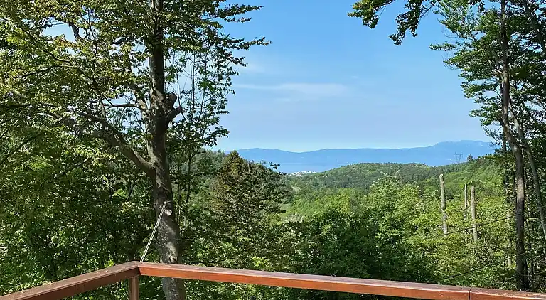 2-Zimmer-Haus mit Terrasse Zlobin, Gorski kotar (K-15452)