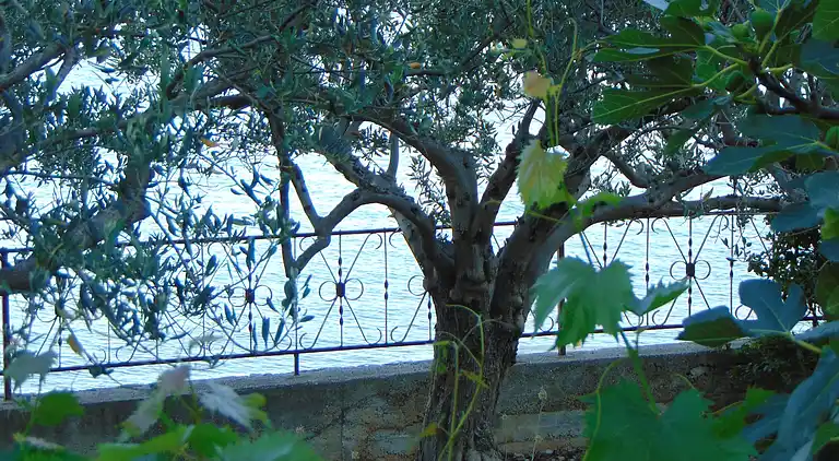 Two bedroom apartment near beach Seget Donji, Trogir