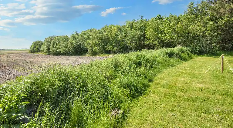 Casa vacanze in Lodbjerg Hede