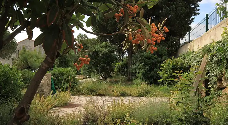 One bedroom apartment with terrace Nerezine, Lošinj