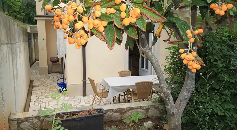 One bedroom apartment with terrace Nerezine, Lošinj