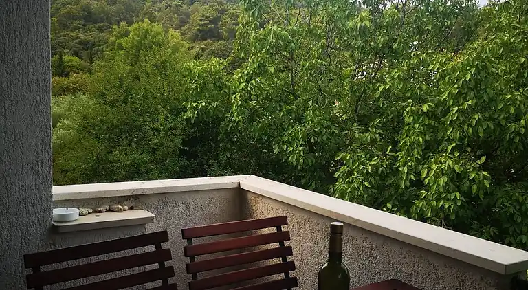 Two bedroom apartment with terrace and sea view Stari Grad,