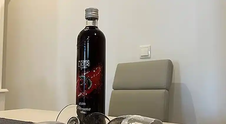 Appartement d'une chambre avec la terrasse et la vue sur le