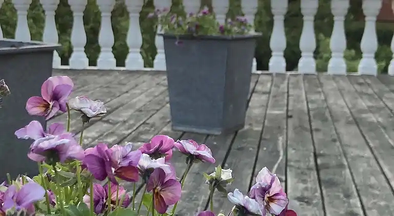 Familievenlig villa i roligt kvarter