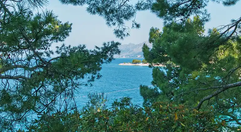 Studio flat near beach Brela, Makarska (AS-16950-a)