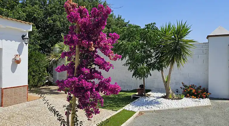 The Hope Holiday Home