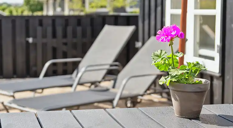 Flovt Strand – Fred og privat have