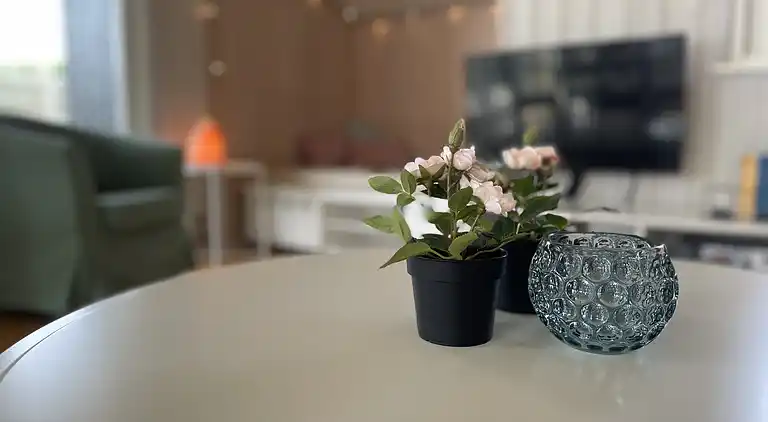 Fantastisk udsigt og 150 meter til stranden