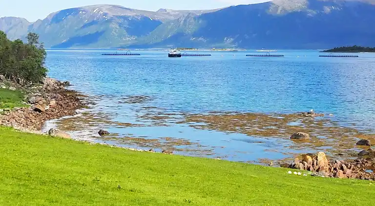 Holiday home in Øksnes