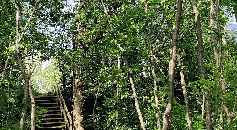 Moderne sommerhus med enestående havudsigt