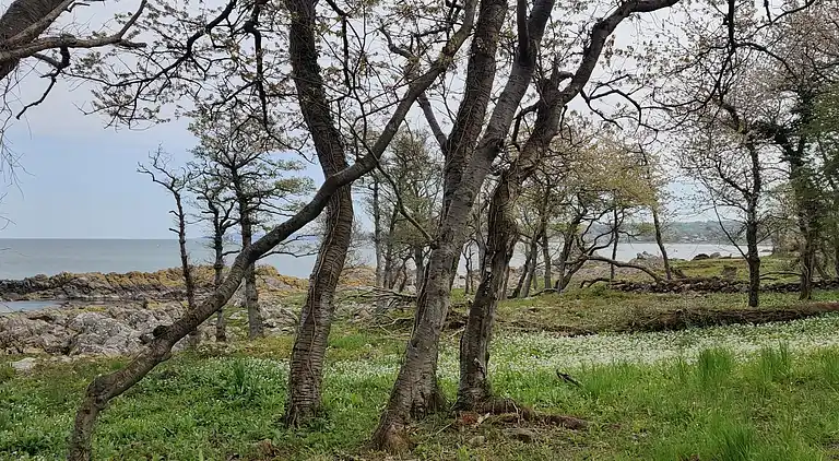 Moderne sommerhus med enestående havudsigt