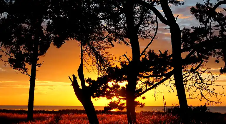 Charmerende og hyggeligt hus tæt på Høve strand
