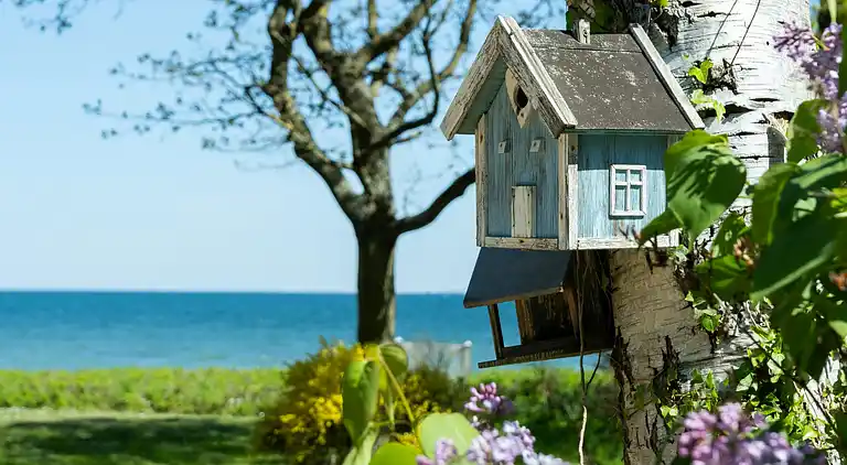 Gemeinsamkeit, Gemütlichkeit und magischer Blick